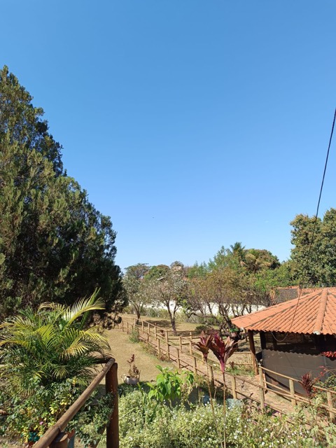 Quintal arborizado da AGM, com cercas de eucalipto